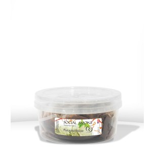 SOCIAL SMOKE PISTACHIO BREEZE 1000G