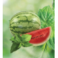 ADALYA WATERMELON 1000 gr